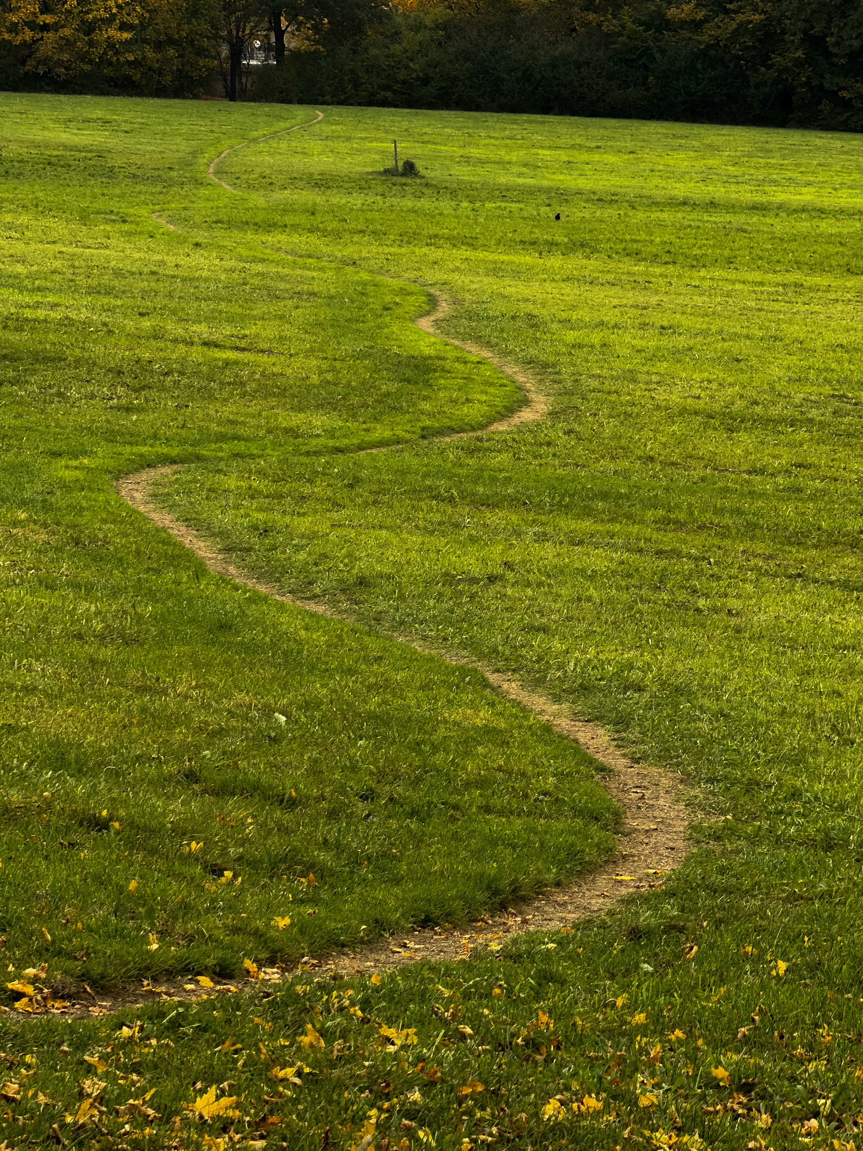 Iedereen doet zijn plasje erover – hoe teams onbedoeld vastlopen